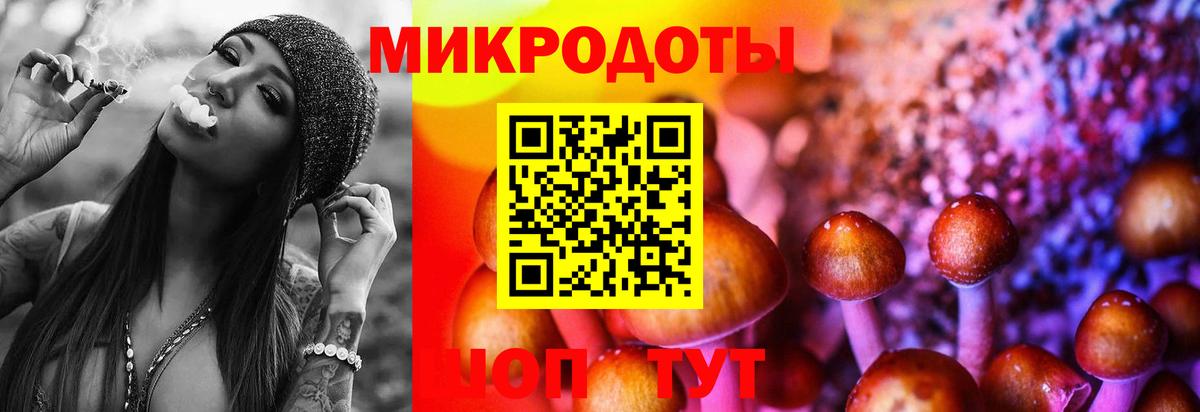 Галлюциногенные грибы GOLDEN TEACHER Полевской